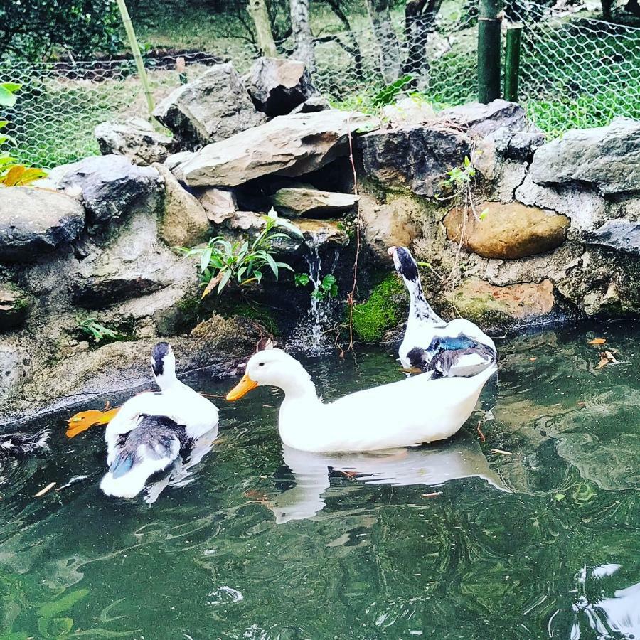 Duck House Hotel La Vega  Bagian luar foto