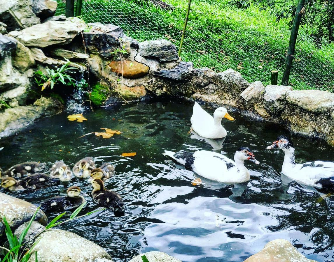 Duck House Hotel La Vega  Bagian luar foto